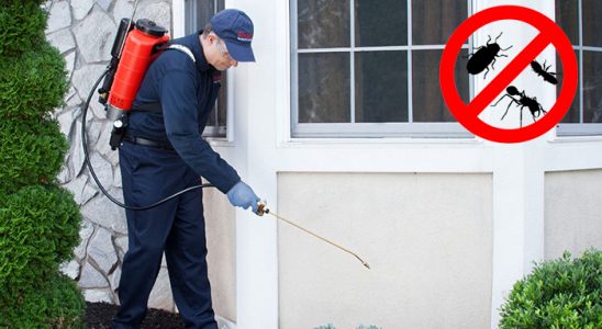Savur Karınca İlaçlama böcek ilaçlama ve haşere kontrolü — ilaclama-tr.com